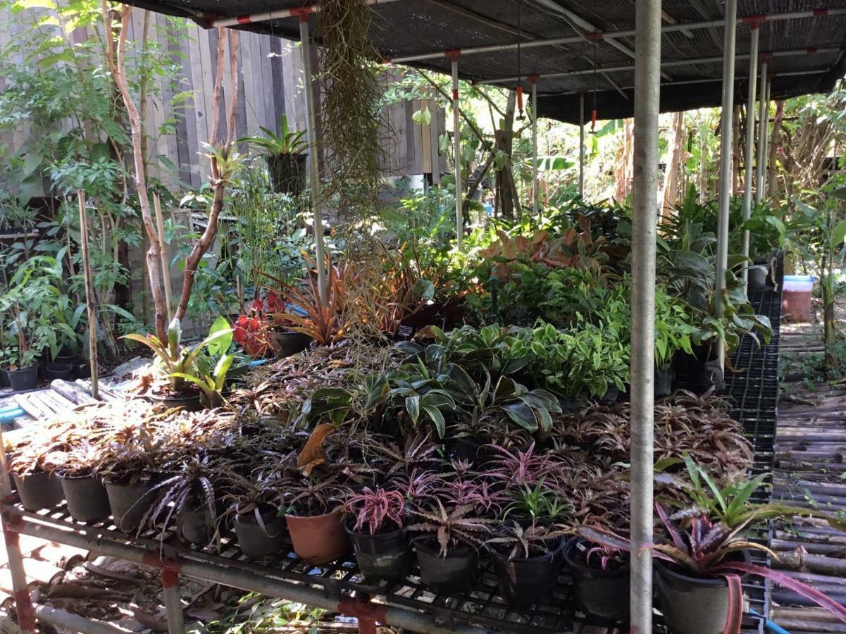 Rustic​ Charm​ Suphan​ Ban Tha Pong Esterno foto